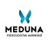Meduna Psixologiya  Mərkəzi
