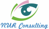 NUR Consulting