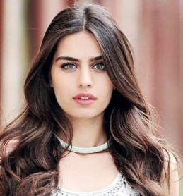 Amine Gülşe